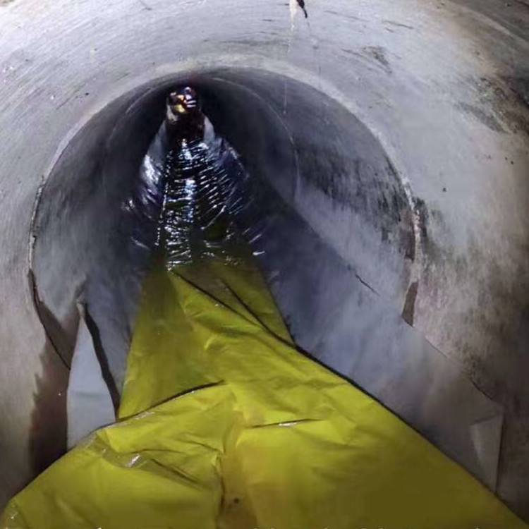 杜尔伯特管道光固化修复